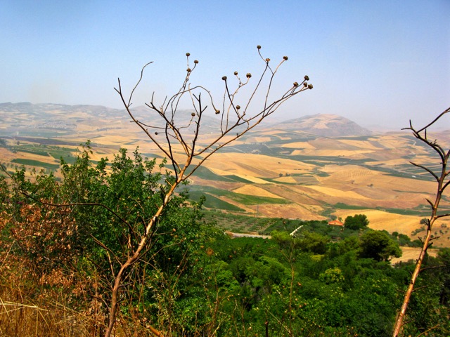 The hills near Alcamo