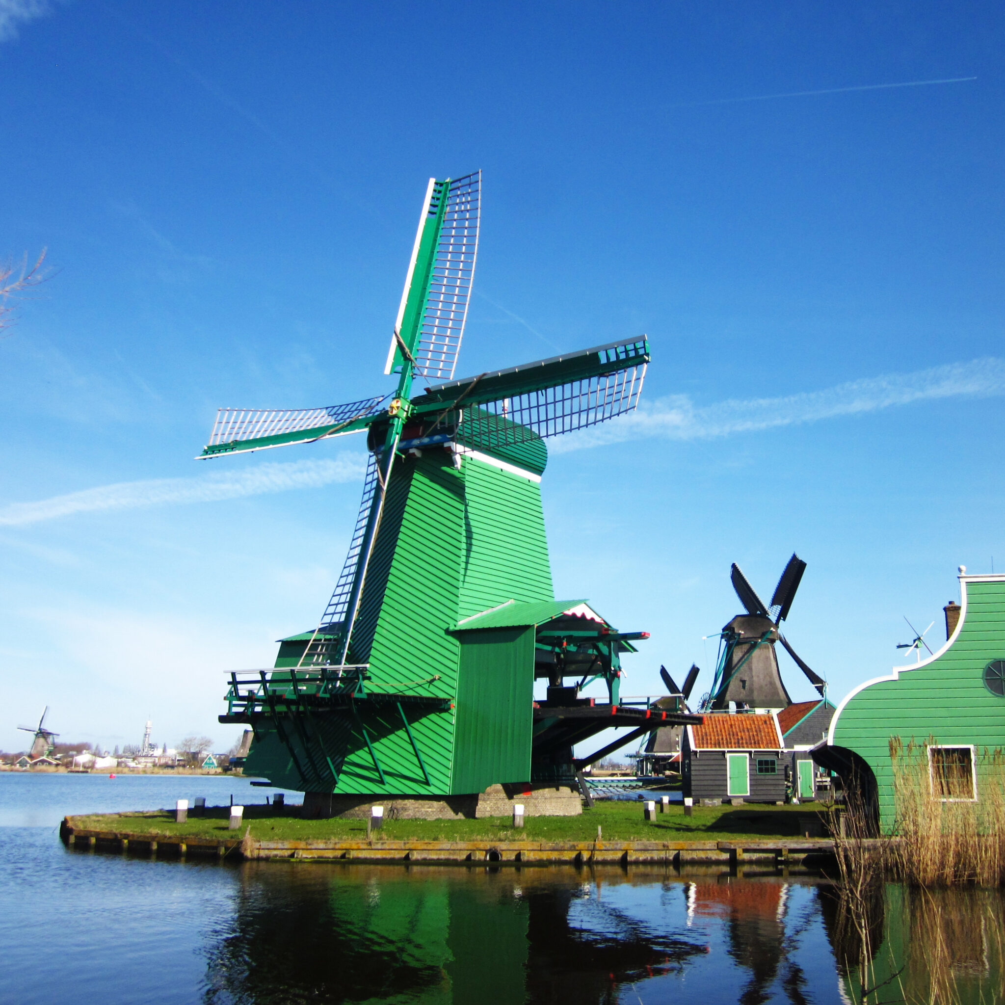 Zaanse